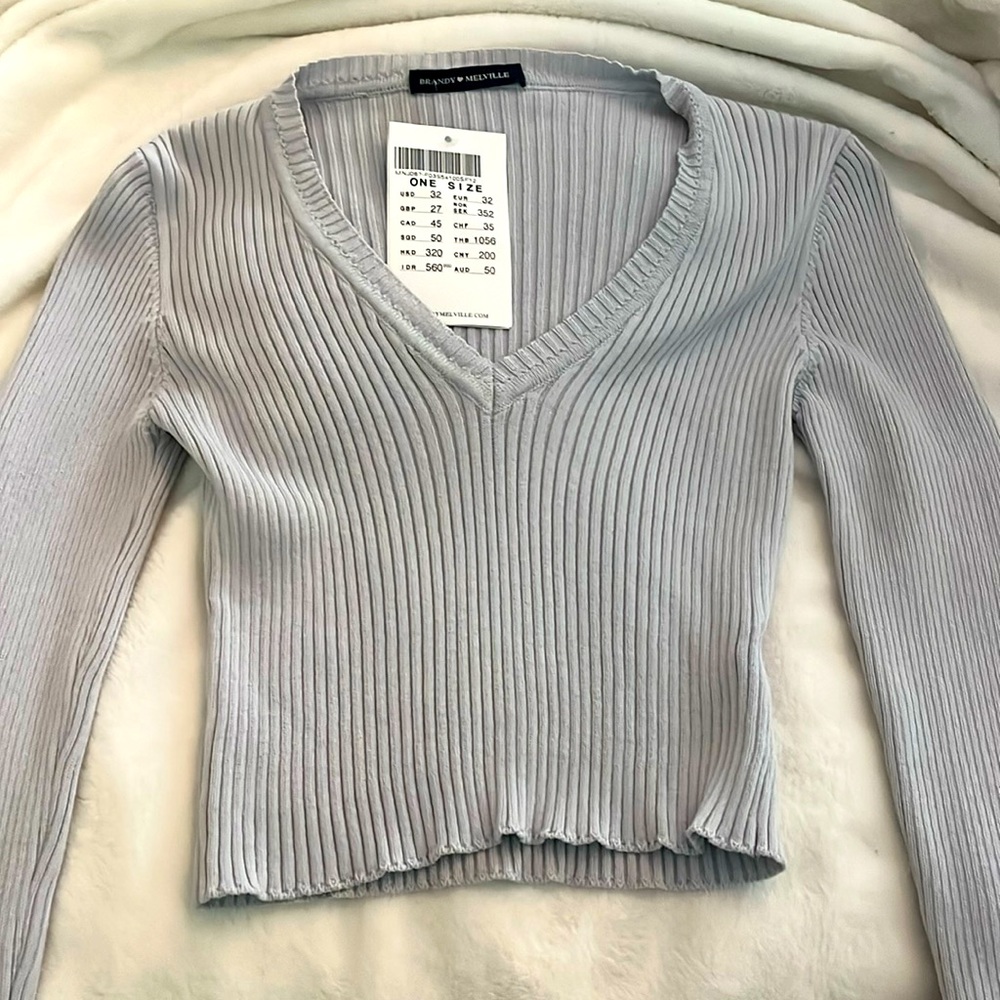 Brandy Melville light blueish purple long sleeve sweater crop top